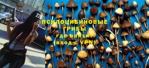 ешки Ельня