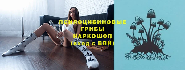 кокс Елизово