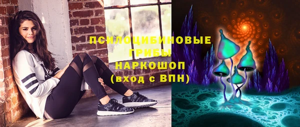кокс Елизово