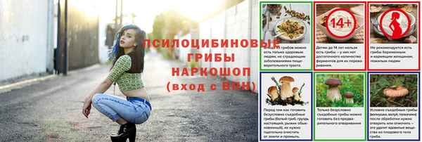 mix Пестово