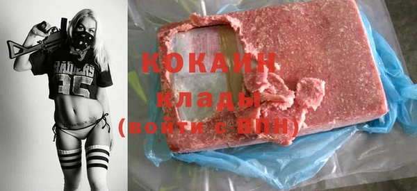 ешки Ельня