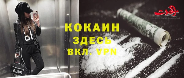 ешки Ельня