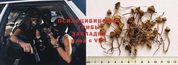 соль курить ск Переславль-Залесский